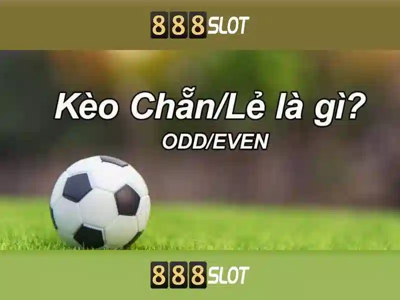 An toàn và hỗ trợ khách hàng