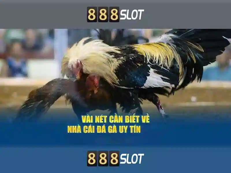 Mẹo chơi bắn cá 3 cây dễ ăn tiền nhà cái