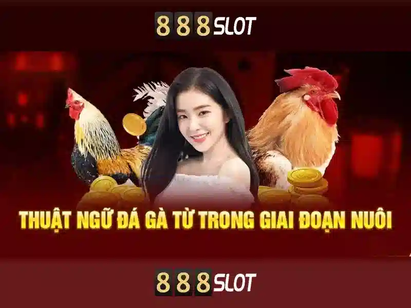 Sản phẩm và dịch vụ cốt lõi của mi 888 slot