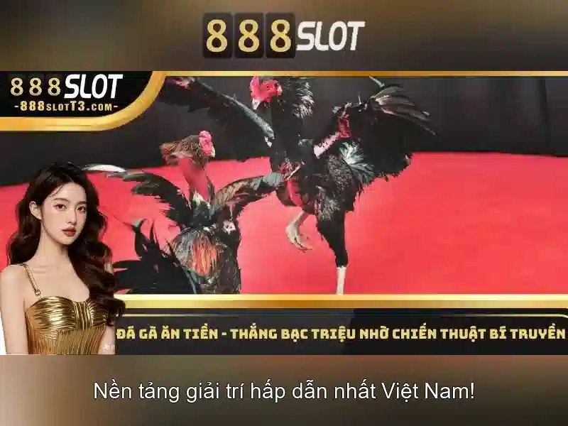 Hỗ trợ và cộng đồng