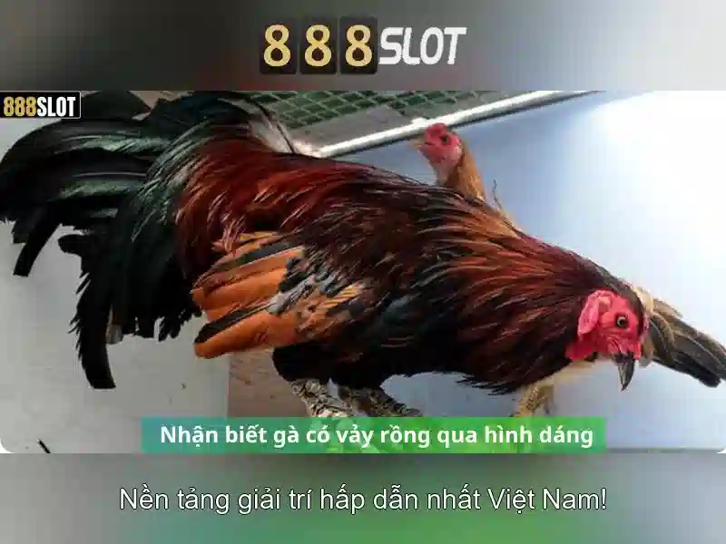 888slot là gì và tại sao nên thử