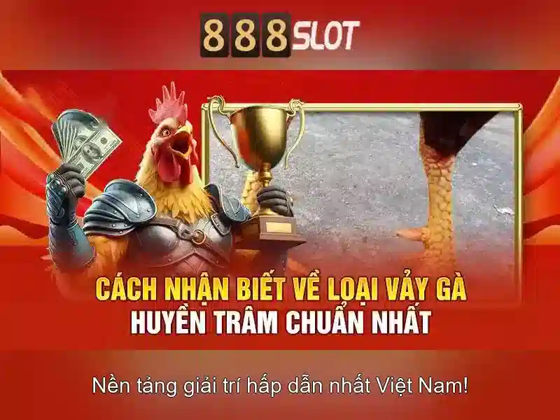 An toàn và thanh toán