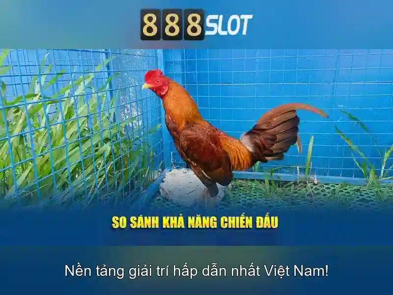 Giao diện và trải nghiệm người dùng