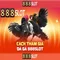 888slot: Tổng quan về sòng bạc trực tuyến