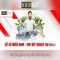 888slot: Tổng quan và đánh giá chi tiết